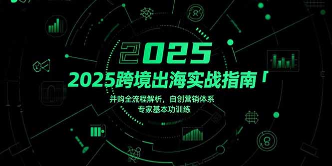 （15503期）2025跨境出海实战指南，并购全流程解析，自创营销体系，专家基本功训练-冷静项目网