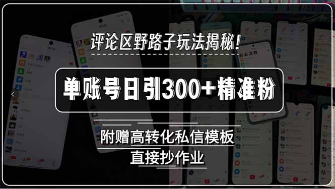 （15466期）评论区野路子玩法揭秘！单账号日引300+精准粉，附赠高转化私信模板，直…-冷静项目网