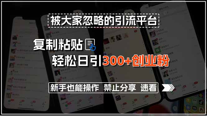 （15428期）被大家忽略的引流平台，复制粘贴轻松日引300+创业粉，新手也能操作，禁…-冷静项目网