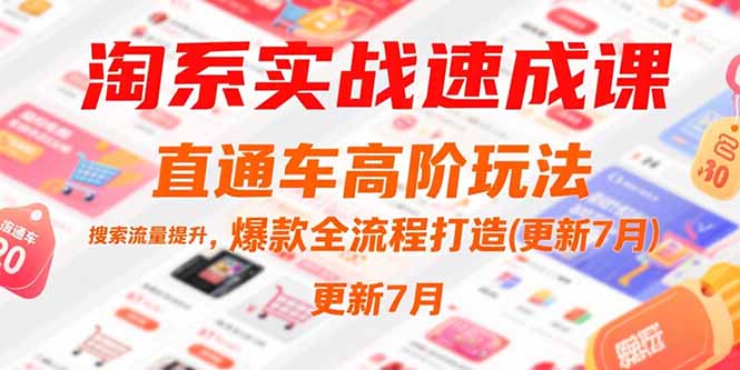 （15374期）淘系实战速成课，直通车高阶玩法，搜索流量提升，爆款全流程打造(更新7月)-冷静项目网