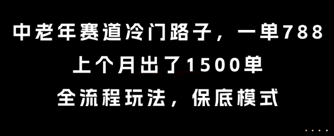 中老年赛道冷门路子，一单788，上个月出了1500单，全流程玩法，保底模式-冷静项目网