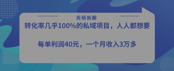 转化率最高的私域项目，每单利润40-50米，月入过1w-冷静项目网