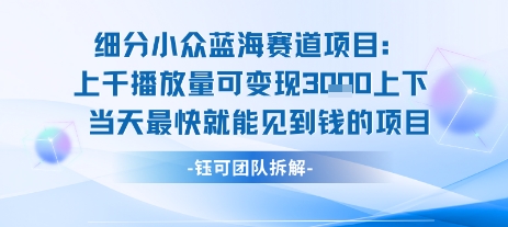 小众蓝海赛道项目：当天变现1k+适合新手操作 +适合长期玩-冷静项目网