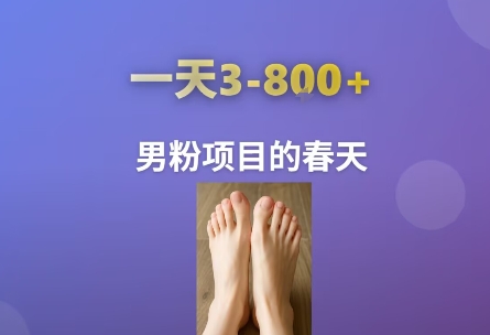 AI一键生成美女素材，一天收益3-8张，男粉项目的春天-冷静项目网