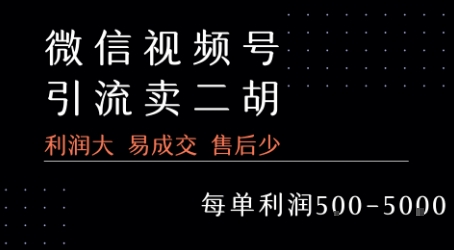 视频号卖二胡教程，利润大 易成交 售后少，一单利润5张+-冷静项目网