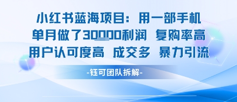 小红书蓝海项目，一部手机单月做了3W利润，小白也能月入过1W用户认可度高成交多-冷静项目网