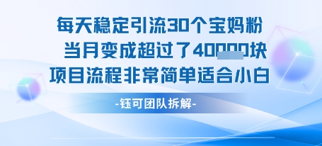每天稳定引流30个人 当月变成超过了4个W项目流程非常简单适合小白-冷静项目网