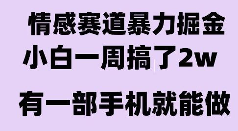 情感暴力掘金项目，新人操作一周挣了2W，长期稳定小白可做-冷静项目网