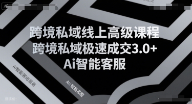 跨境私域线上高级课程，跨境私域极速成交3.0+Ai智能客服-冷静项目网