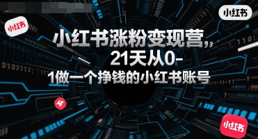 小红书涨粉变现营，21天从0-1做一个挣钱的小红书账号-冷静项目网