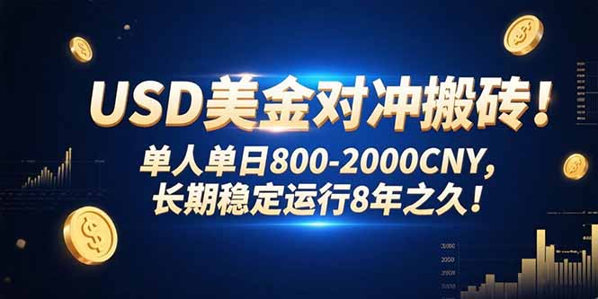 （15551期）USD美金对冲搬砖!单人单日800-2000CNY，长期稳定运行8年之久!-冷静项目网