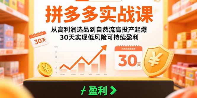 （15586期）拼多多实战课：从高利润选品到自然流高投产起爆 30天实现低风险可持续盈利-冷静项目网
