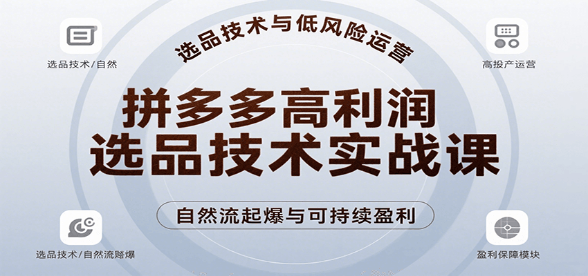 拼多多高利润选品技术实战课，手把手教学自然流高投产起爆，实现低风险可持续盈利-冷静项目网