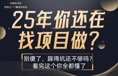 25年，你还在疯狂的找项目吗？别傻了，看完这个你都懂了-冷静项目网