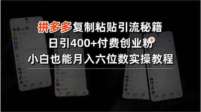 （15613期）拼多多复制粘贴引流秘籍，日引400+付费创业粉，小白也能月入六位数实操…-冷静项目网