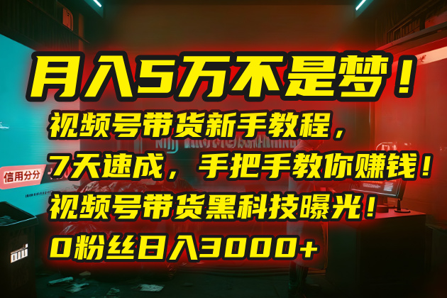 （15595期）月入5万不是梦！视频号带货新手教程，7天速成，手把手教你赚钱！视频号…-冷静项目网