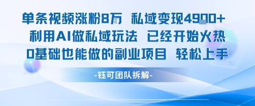 单条视频私域变现4.9k+利用AI做私域玩法 已经开始火热0基础也能做的副业项目轻松上手-冷静项目网