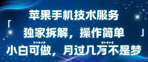 苹果手机技术服务，独家拆解，操作简单，小白可做，月过1W不是梦-冷静项目网