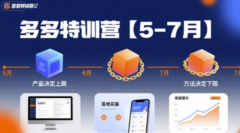 多多特训营【5-7月】产品决定上限，方法决定下限，各种玩法技巧落地实操-冷静项目网