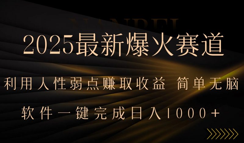 （15675期）2025最新爆火赛道，利用人生弱点赚取收益，全程一键批量制作，小白轻松…-冷静项目网