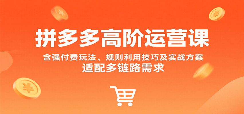 拼多多高阶运营课，含强付费玩法、规则利用技巧及实战方案，适配多链路需求-冷静项目网