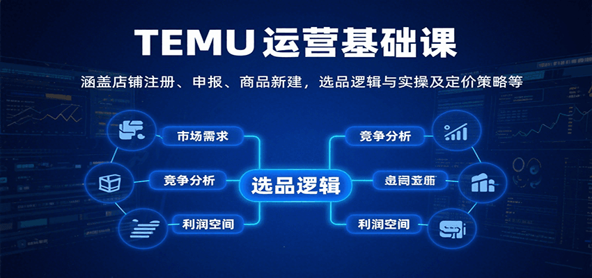 TEMU运营基础课：涵盖店铺注册、申报、商品新建，选品逻辑与实操及定价策略等-冷静项目网