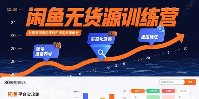 （15698期）闲鱼无货源训练营：账号准备养号/垂直化选品/黑搜玩法，0基础30天盈利指南-冷静项目网