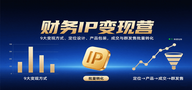 财务IP变现营：9大变现方式、定位设计、产品包装，成交与群发售批量转化-冷静项目网
