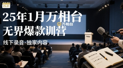25年1月万相台无界爆款特训营线下录音-冷静项目网