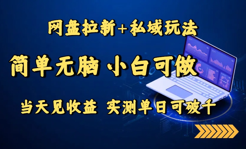 （15744期）网盘拉新+私域玩法，简单无脑，小白可做，当天见收益，实测单日可破千-冷静项目网