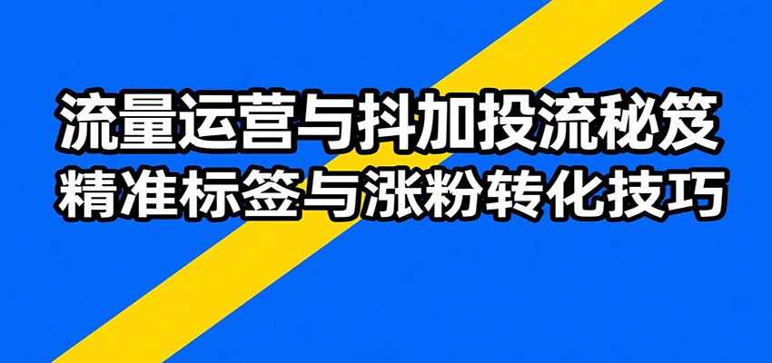 流量运营与抖加投流秘笈，含算法解析、爆款打造、精准标签与涨粉转化技巧-冷静项目网