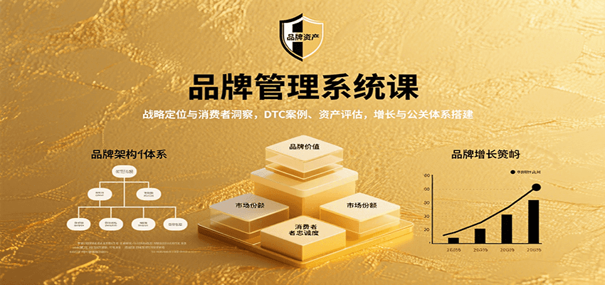 品牌管理系统课：战略定位与消费者洞察，DTC案例、资产评估，增长与公关体系搭建-冷静项目网