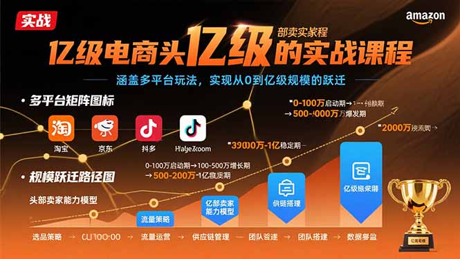 （15803期）亿级电商头部卖家的实战课程：涵盖多平台玩法，实现从0到亿级规模的跃迁-冷静项目网