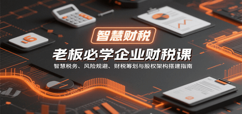 老板必学企业财税课:智慧税务、风险规避、财税筹划与股权架构搭建指南-冷静项目网