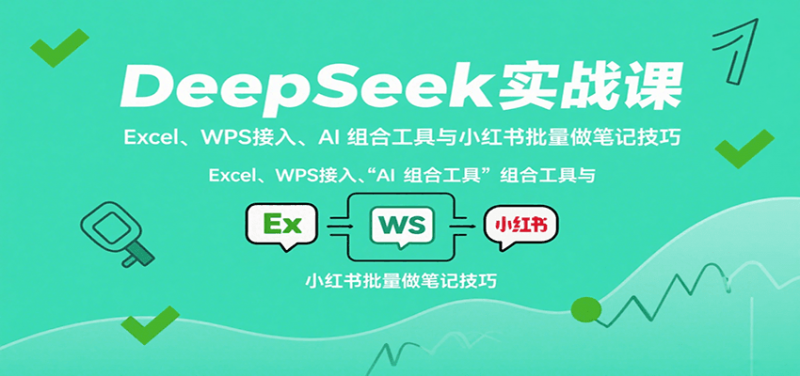 DeepSeek实战课：Excel、WPS接入、AI 组合工具与小红书批量做笔记技巧-冷静项目网