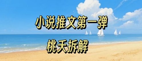 小说推文项目操作全流程第一弹，0粉就能做，门槛低非常适合新手-冷静项目网