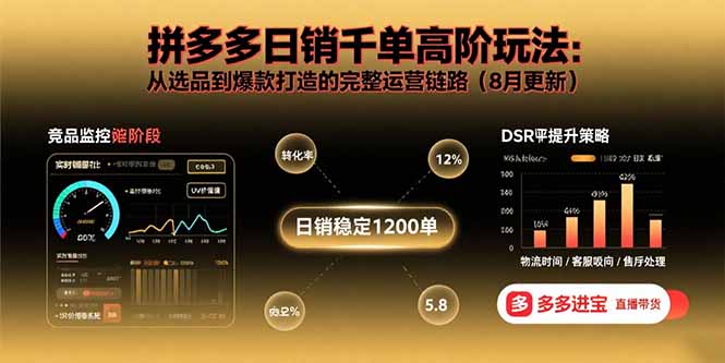 （15850期）拼多多日销千单高阶玩法：从选品到爆款打造的完整运营链路（8月更新）-冷静项目网