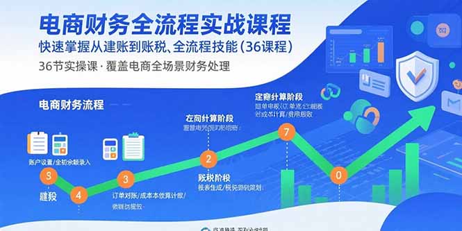 （15883期）电商财务全流程实战课程：快速掌握从建账到报税的全流程技能（36节课）-冷静项目网