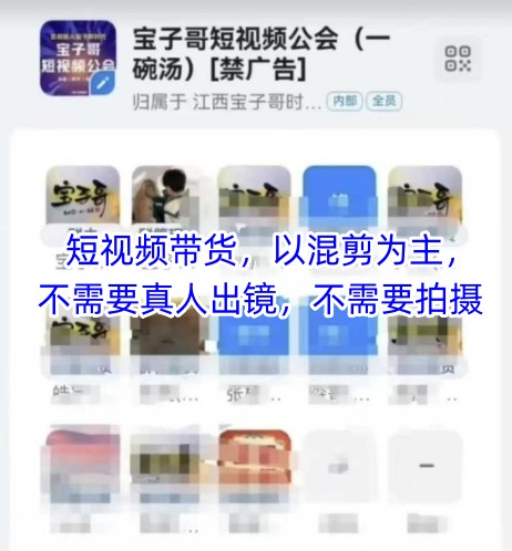 宝子哥头部团队短视频带货，以混剪为主，不需要真人出镜，不需要拍摄【更新8月】-冷静项目网