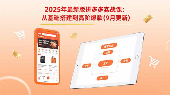 （15899期）2025年最新版拼多多实战课：从基础搭建到高阶爆款（9月更新）-冷静项目网