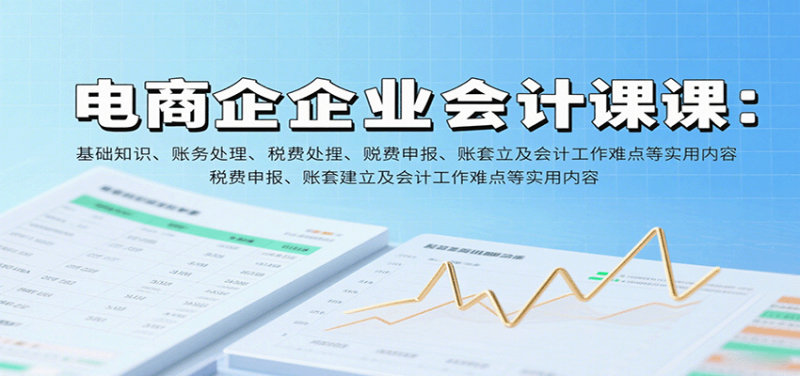 电商企业会计课：基础知识、账务处理、税费申报、账套建立及会计工作难点等实用内容-冷静项目网