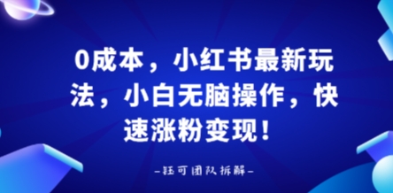 0成本，小红书最新玩法，小白无脑操作，快速涨粉变现-冷静项目网