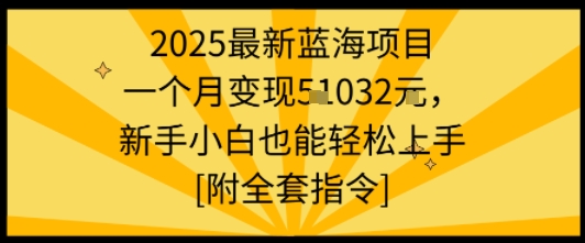 2025最新蓝海项目一个月变现1w+新手小白也能轻松上手【附全套指令】-冷静项目网