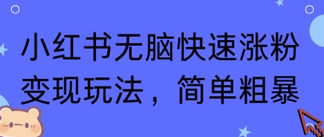 小红书无脑快速涨粉变现玩法，简单粗暴-冷静项目网