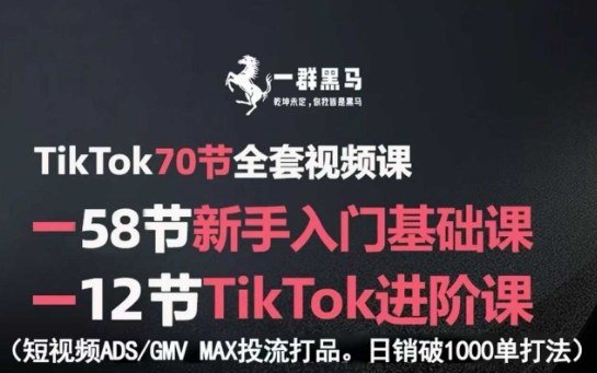 TikTok全套视频课，新手入门+进阶课，短视频ADS-GMV MAX投流打品，日销破1000单打法-冷静项目网