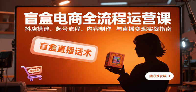 盲盒电商全流程运营课：抖店搭建、起号流程、内容制作与直播变现实战指南-冷静项目网