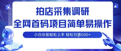 拍店采集调研，全网首码项目，简单易操作， 小白也能轻松上手，多账号操作，轻松日入5张-冷静项目网