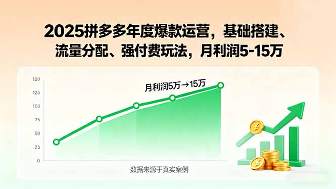 （15973期）2025拼多多年度爆款运营，基础搭建、流量分配、强付费玩法，月利润5-15万-冷静项目网