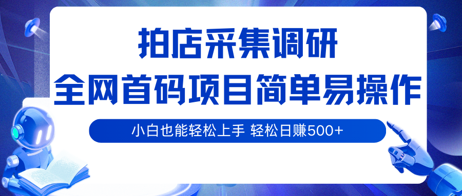 拍店采集调研，全网首码项目，简单易操作， 小白也能轻松上手，轻松日赚500+-冷静项目网
