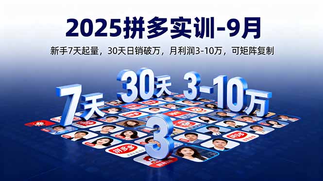 (16008期)2025拼多多实训-9月:新手7天起量,30天日销破万,月利润3-10万,可矩阵复制-冷静项目网